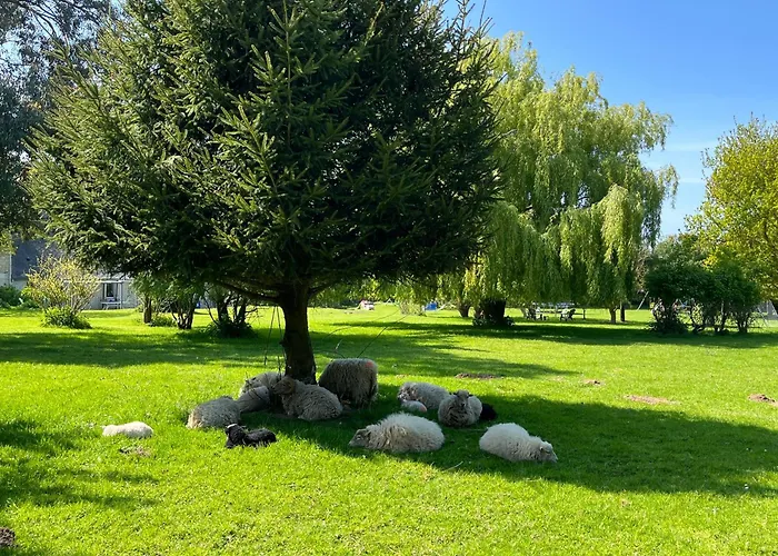 L Etable 펜션 Commes